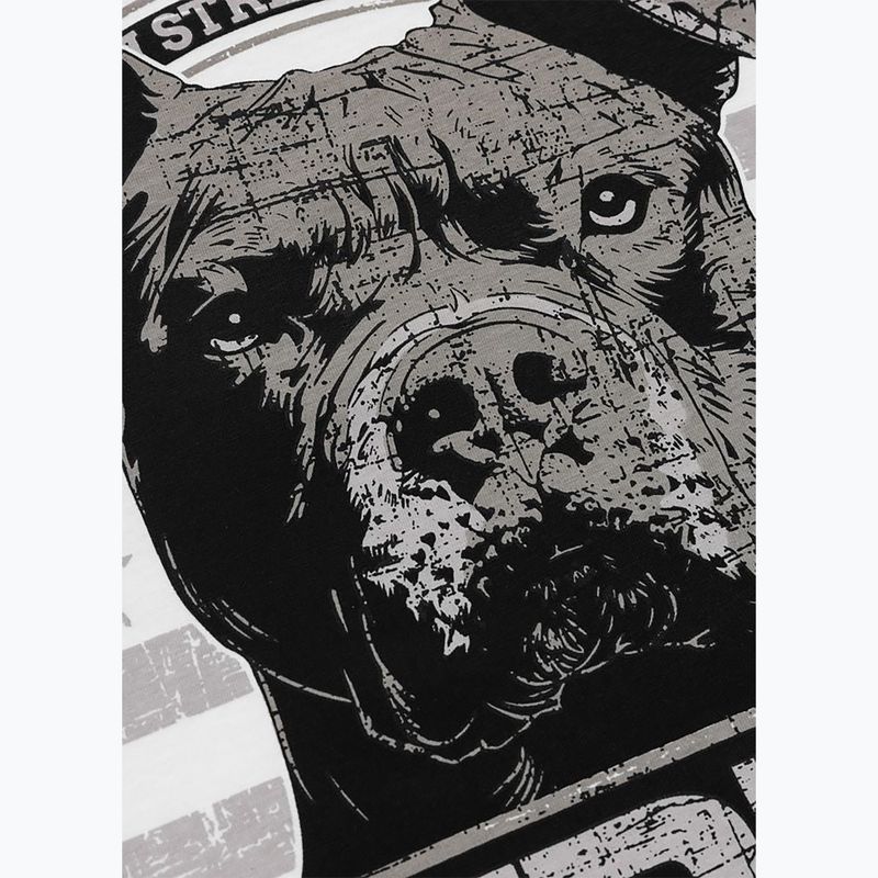 Férfi póló Pitbull Troublemarker white 10