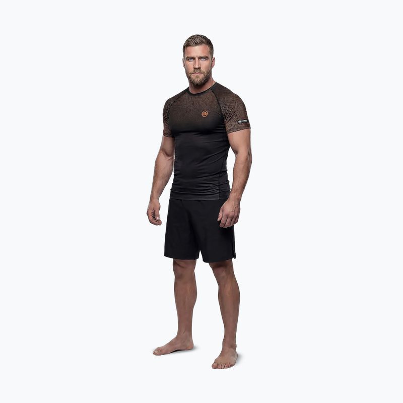 Férfi rashguard Pitbull Belt Rashguard brown 2