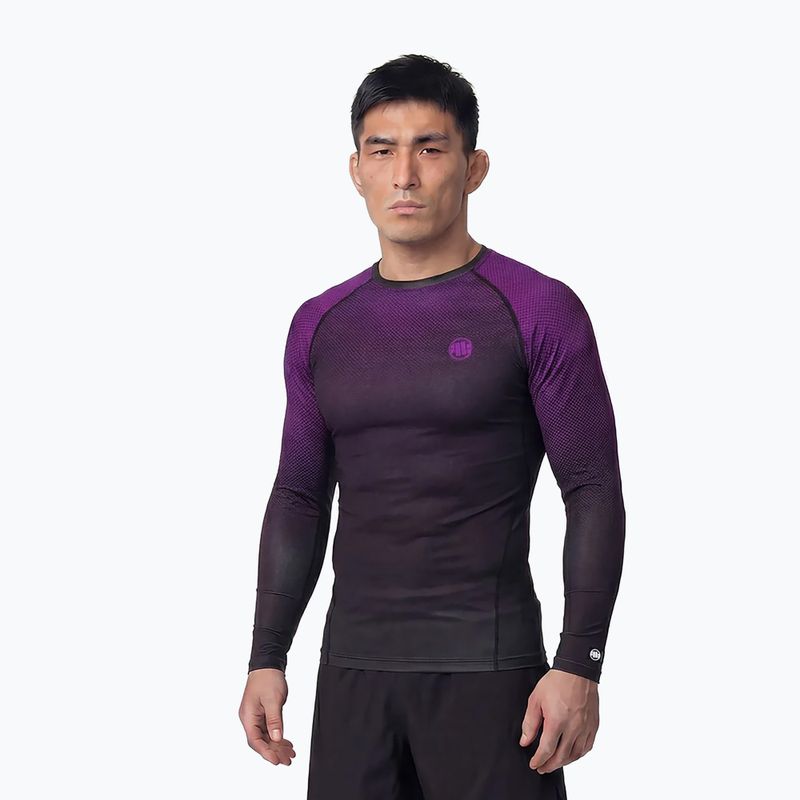 Férfi hosszú ujjú rashguard Pitbull Belt Rashguard purple