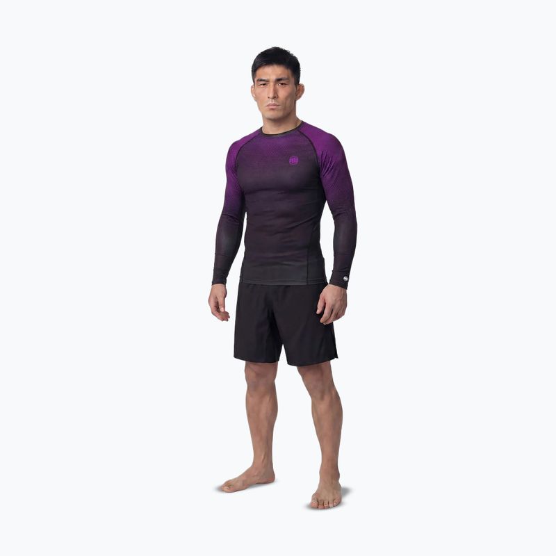 Férfi hosszú ujjú rashguard Pitbull Belt Rashguard purple 2