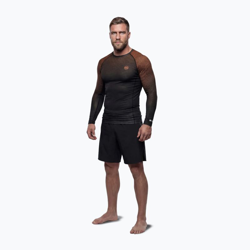 Férfi hosszú ujjú rashguard Pitbull Belt Rashguard brown 2