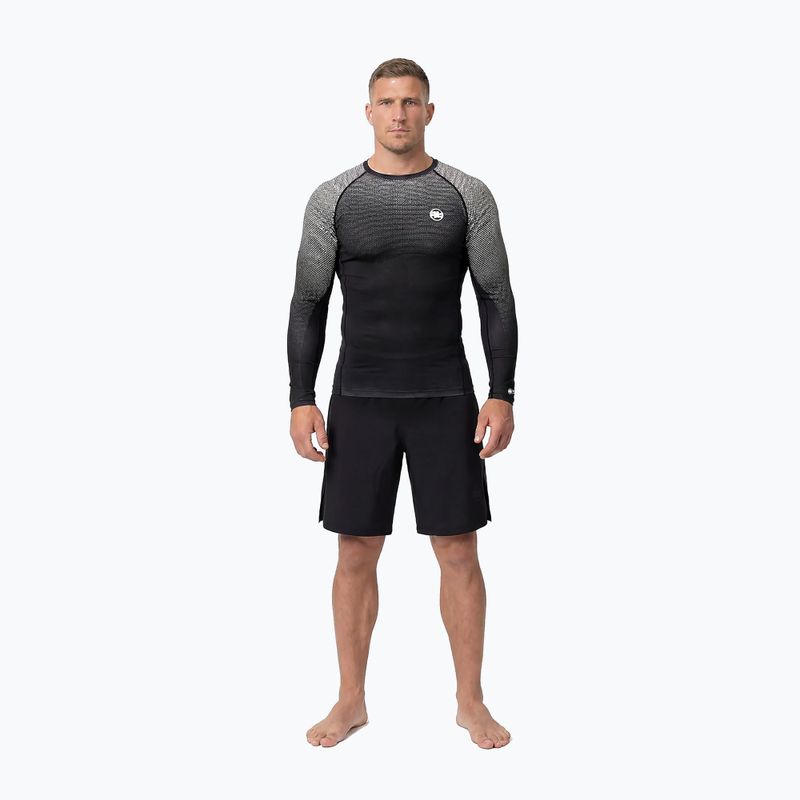 Férfi hosszú ujjú rashguard Pitbull Belt Rashguard black 2