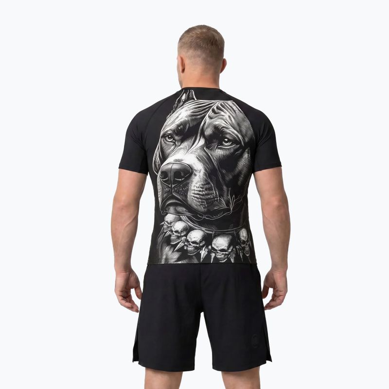 Férfi rashguard Pitbull Blacky Rashguard black 3