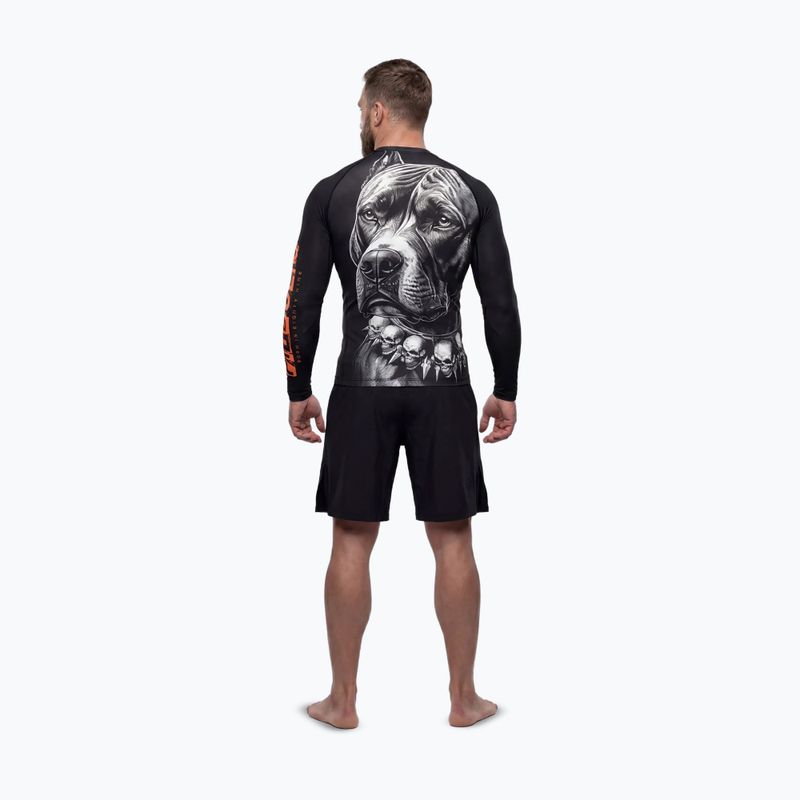 Férfi hosszú ujjú rashguard Pitbull Blacky Rashguard 3