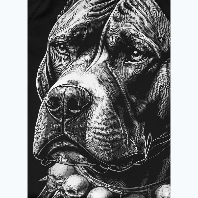 Férfi hosszú ujjú rashguard Pitbull Blacky Rashguard 8