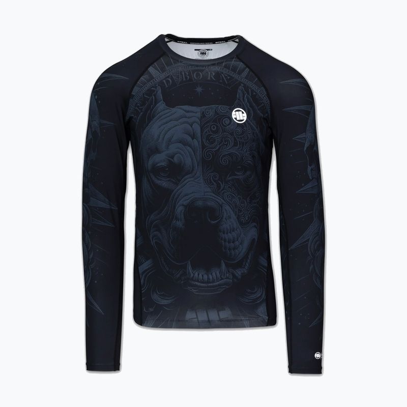 Férfi hosszú ujjú rashguard Pitbull World Rashguard black 5