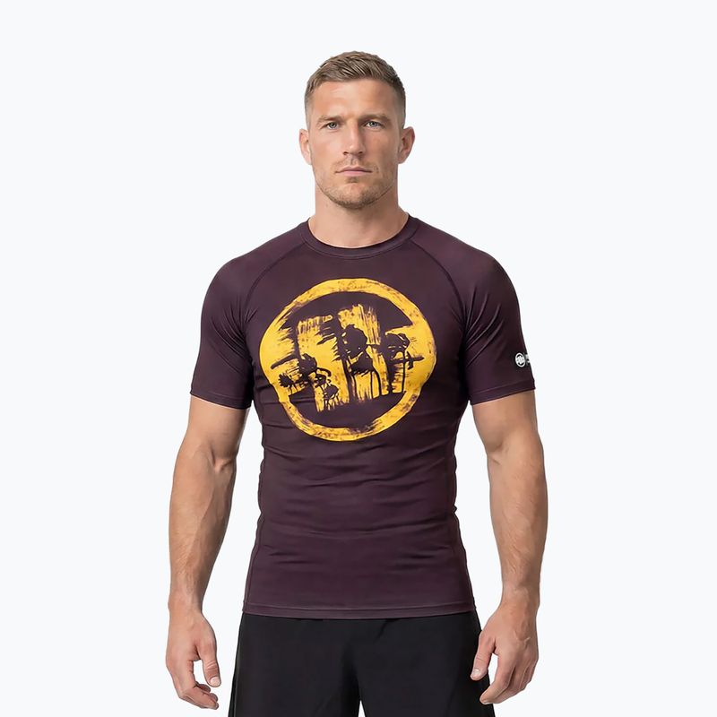 Férfi póló Pitbull Rashguard Logo Palms brown