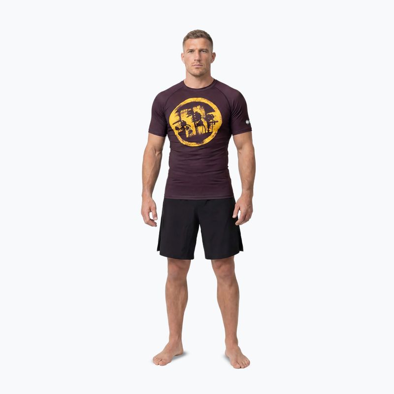 Férfi póló Pitbull Rashguard Logo Palms brown 2