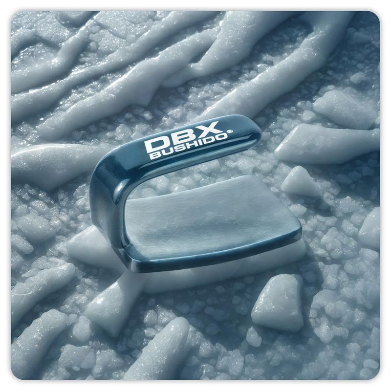 Bokszolói vasaló DBX BUSHIDO Ferro black/silver 7