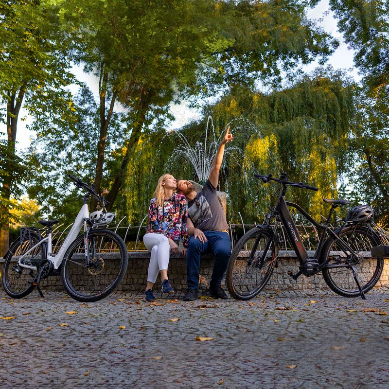Ecobike MX300 Greenway elektromos kerékpár fekete 1010307 21