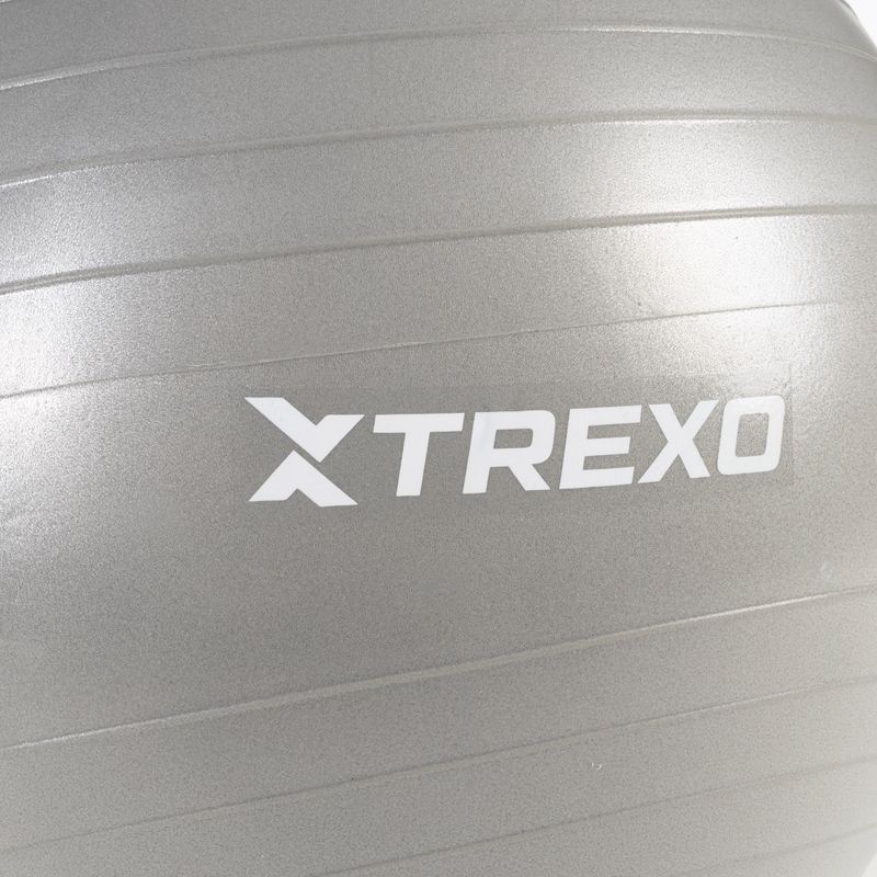 TREXO Gymball TXO-B4Z008-GY 65 cm szürke 5