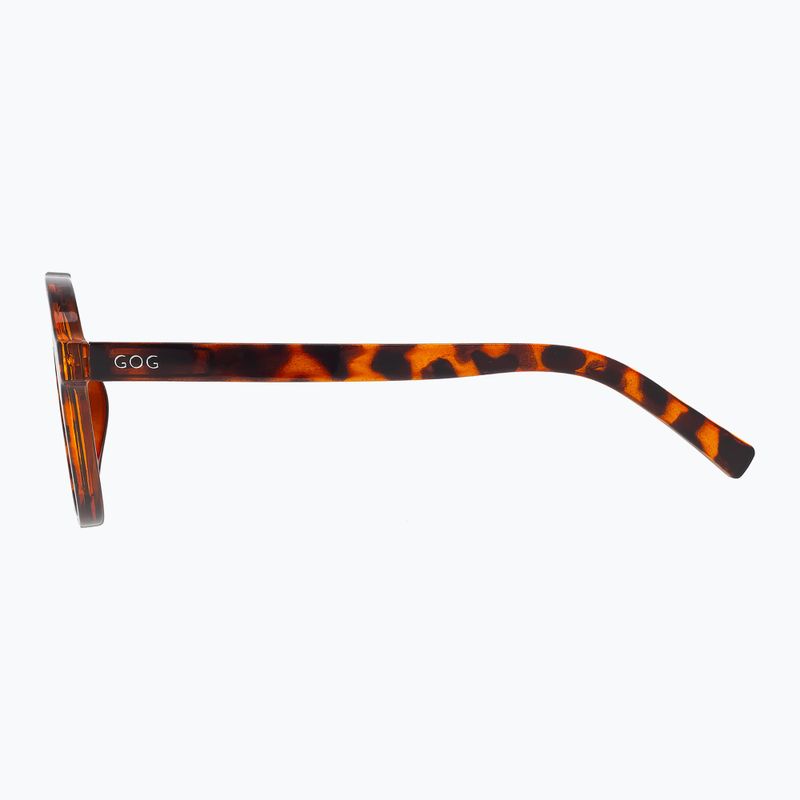 Napszemüveg GOG Ranger brown demi/green 3