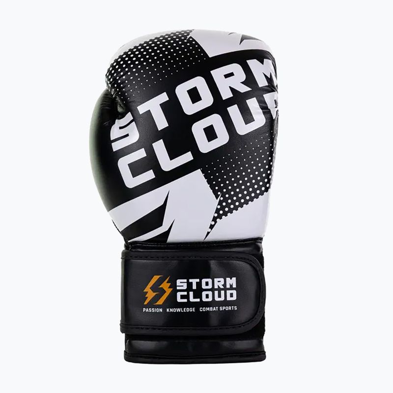 Boxkesztyű StormCloud Bolt 3.0 black/white 4