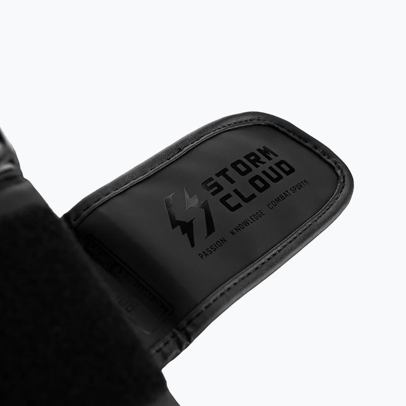 Bokszkesztyűk StormCloud Bolt 3.0 black/black 10