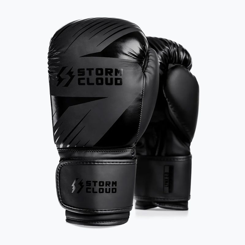 Bokszkesztyűk StormCloud Lynx 2.0 black/black 2