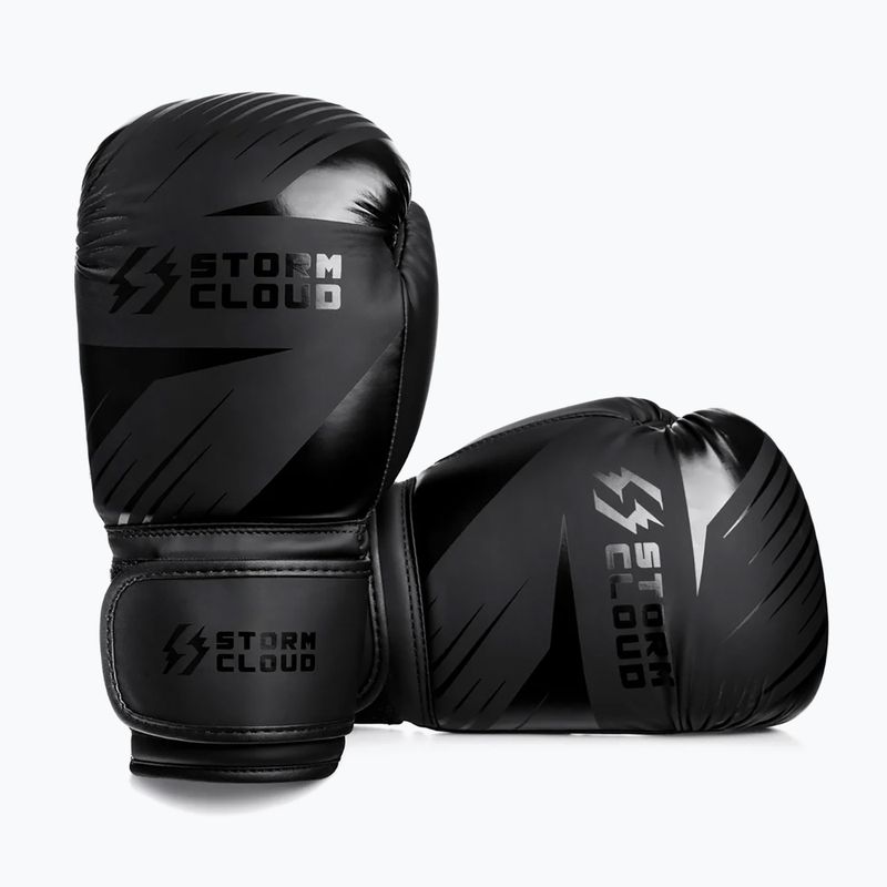 Bokszkesztyűk StormCloud Lynx 2.0 black/black 3