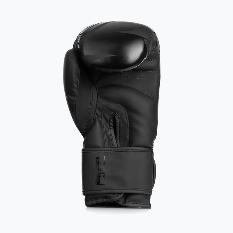 Bokszkesztyűk StormCloud Lynx 2.0 black/black 5