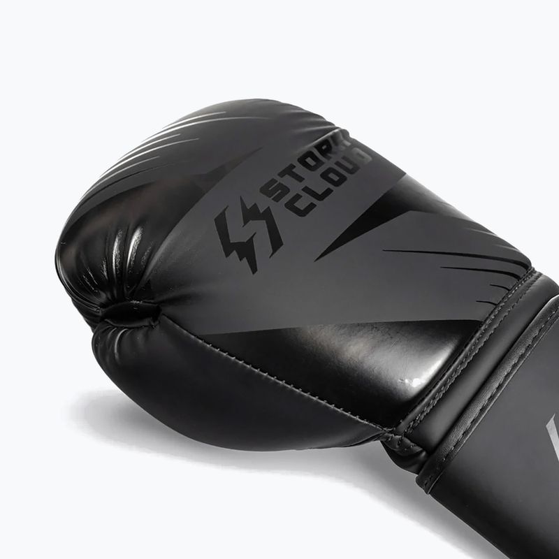Bokszkesztyűk StormCloud Lynx 2.0 black/black 6