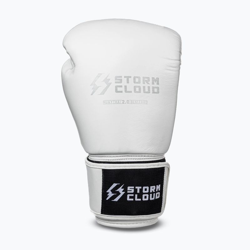 Bokszkesztyűk StormCloud Muay Thai Blizzard 2.0 white/silver 2