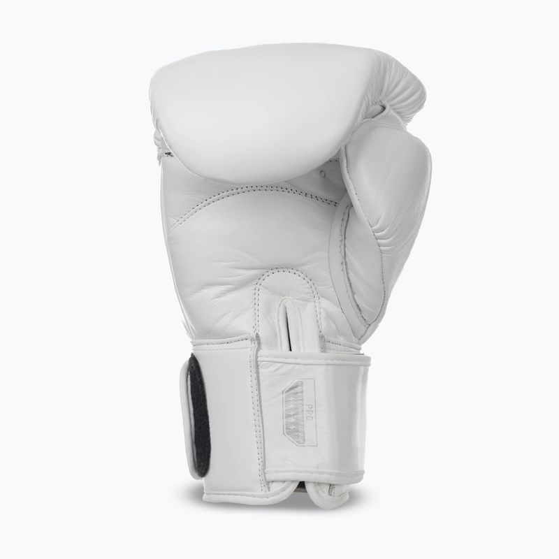 Bokszkesztyűk StormCloud Muay Thai Blizzard 2.0 white/silver 3