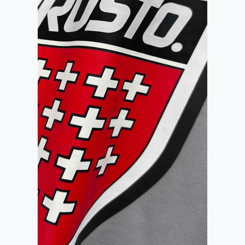 Férfi pulóver PROSTO Big Shield Crewneck gray 3