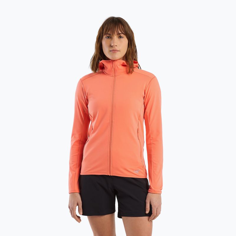 Női trekking pulóver Arc'teryx Kyanite LT Hoody szürke X000005692046