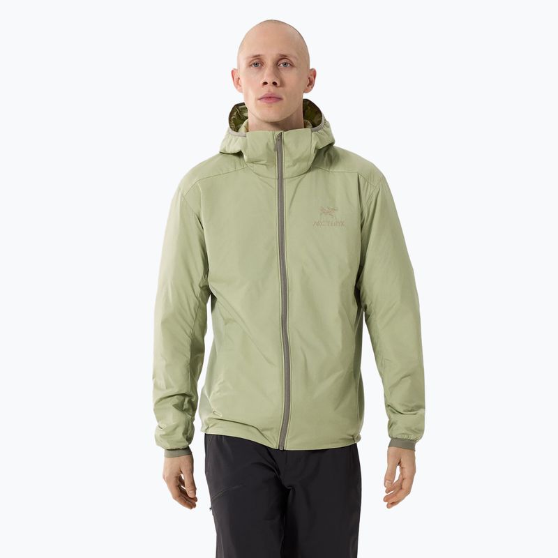 Férfi Arcteryx Atom Hoody szigetelt kabát chloris