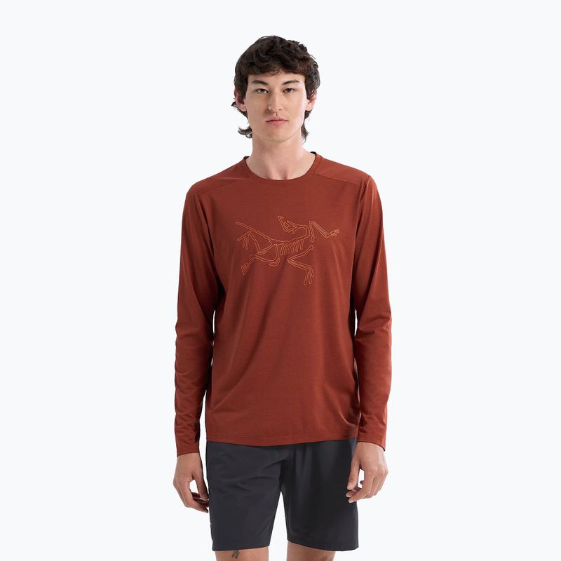 Férfi Arc'teryx Cormac Logo hosszú ujjú sequoia heather/ solaris