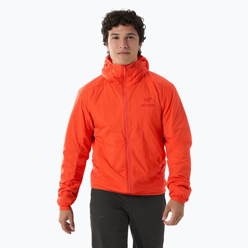 Férfi Arcteryx Atom Hoody szigetelt kabát solaris