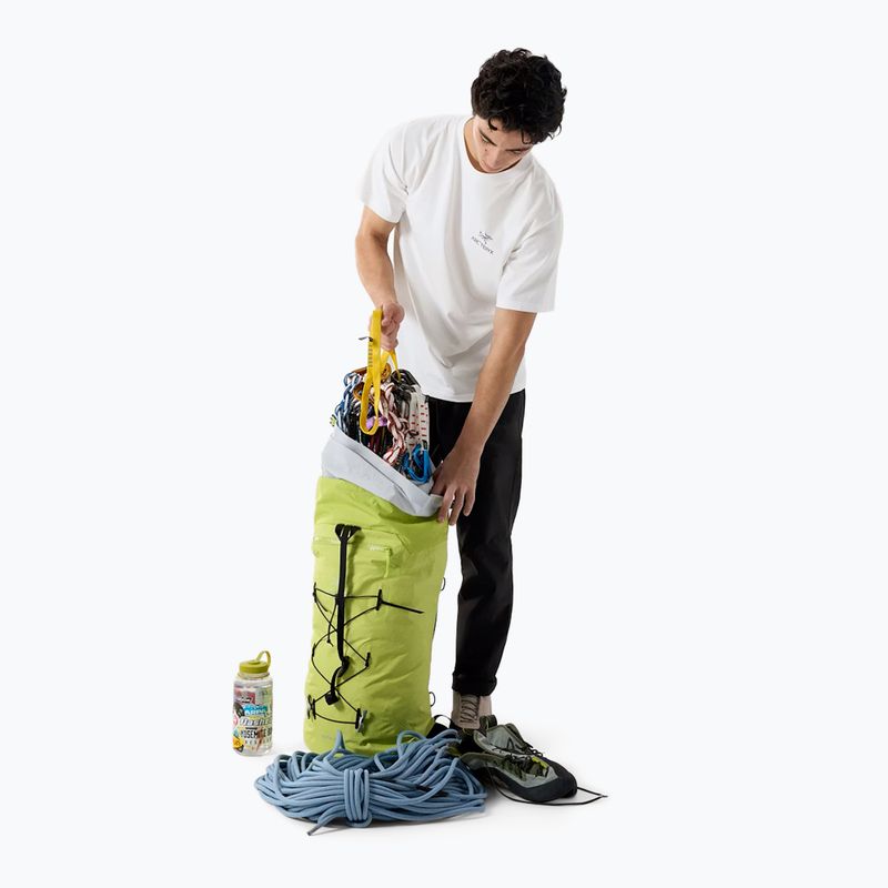 Férfi póló Arcteryx Kragg Sl Cotton Bird Word white light/black 2