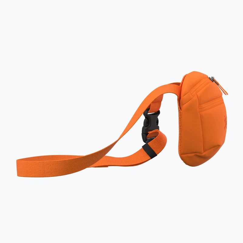 Arc'teryx Mantis 1 1,5 l verve tasak 4