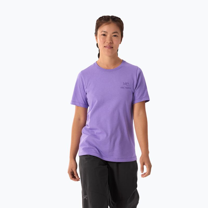 Női póló Arc'teryx Kragg Sl Cotton Emblem Crew aszter