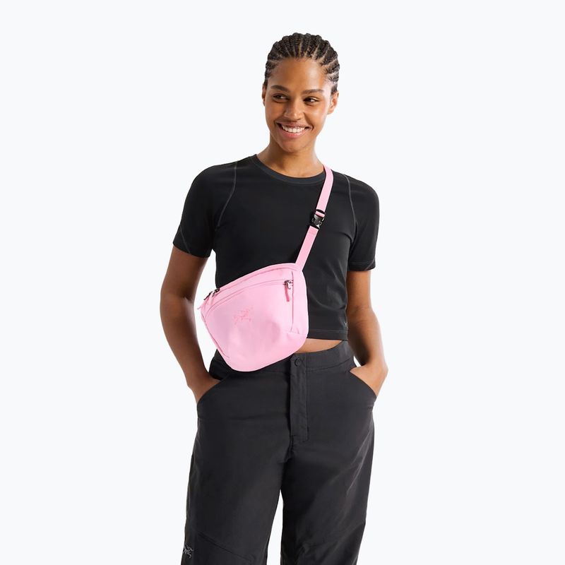 Tasak Arc'teryx Mantis 2 2,5 and pineberry 5