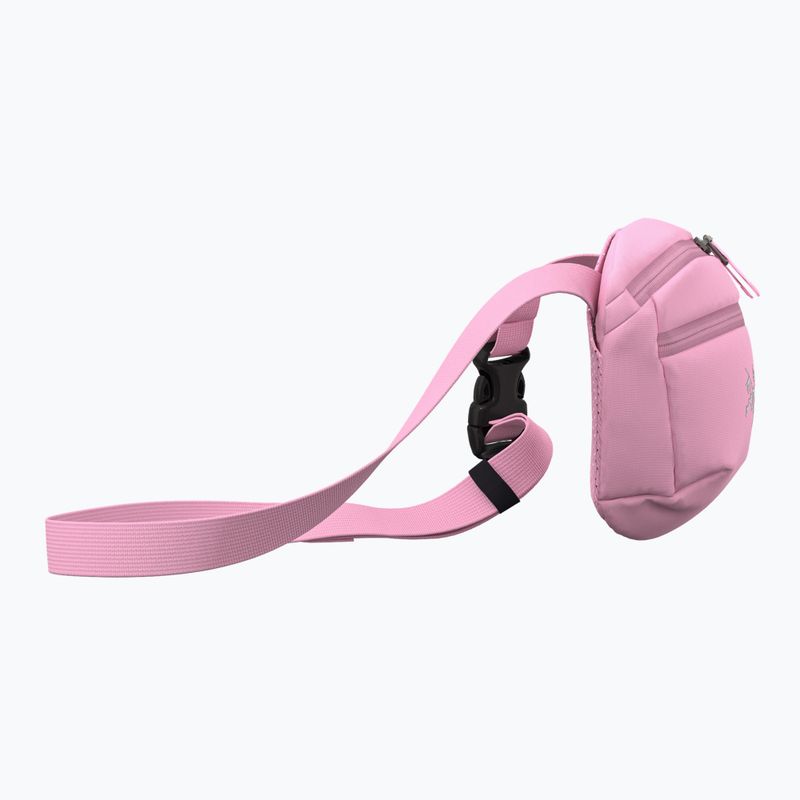 Tasak Arc'teryx Mantis 1 1,5 l 4