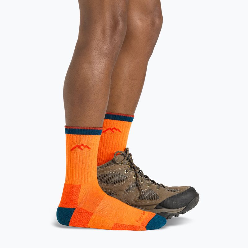 Férfi trekking zokni Darn Tough Hiker Micro Crew blaze 6