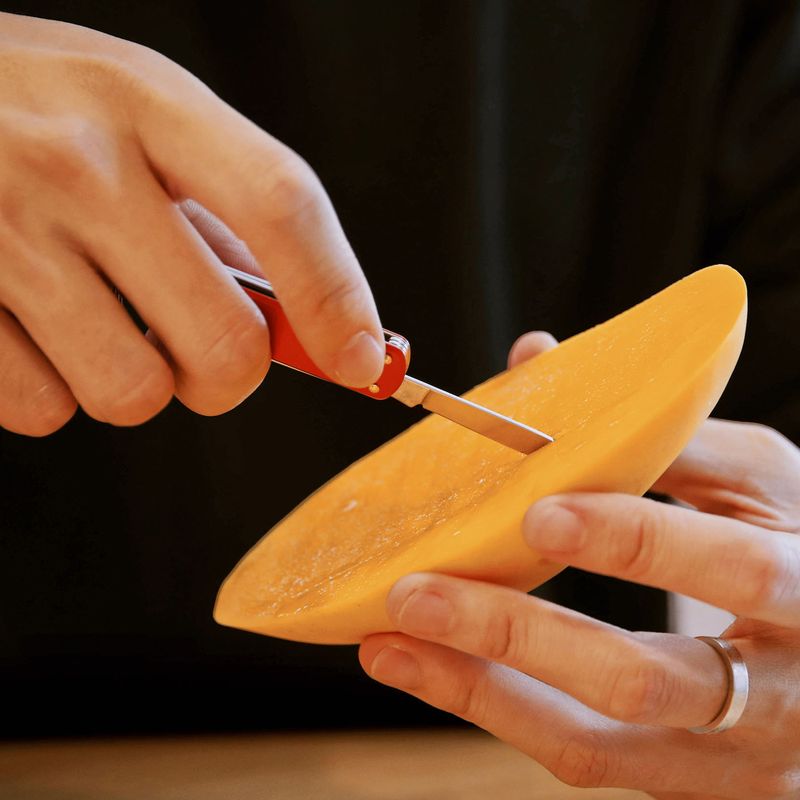 Multiszerszám Nextool Mini Pocket Knife red 5