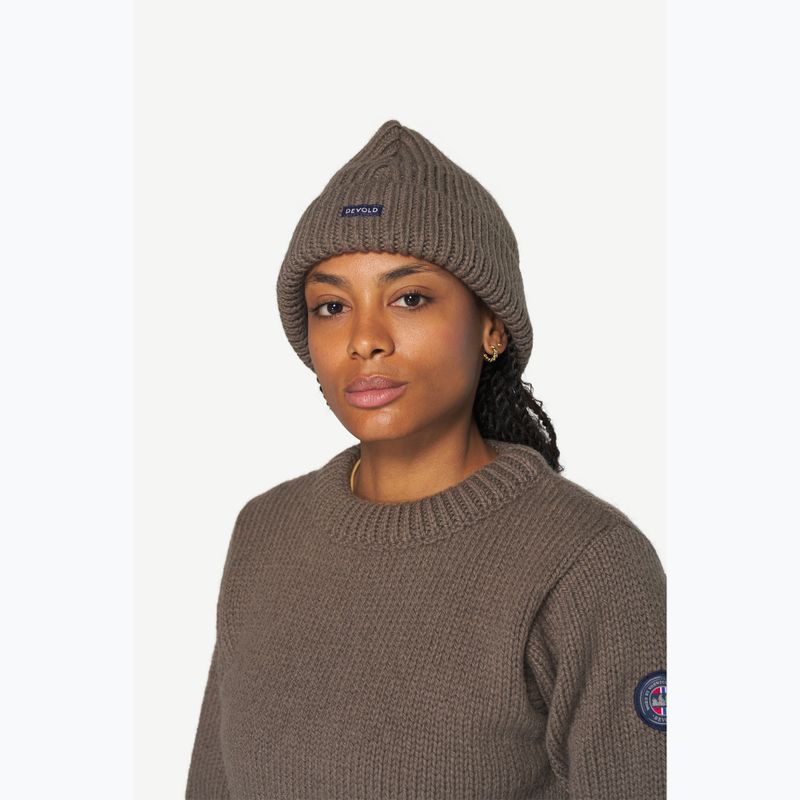 Téli sapka Devold Nansen Wool falcon 2