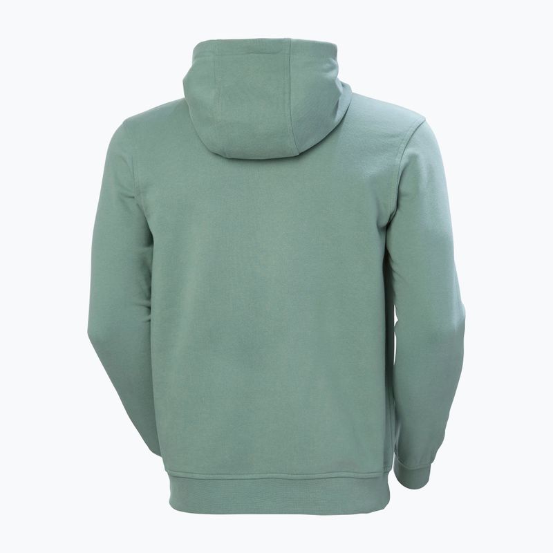 Férfi pulóver  Helly Hansen HH Logo Hoodie cactus 6