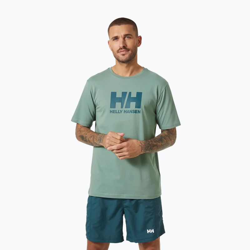 Férfi póló Helly Hansen HH Logo cactus
