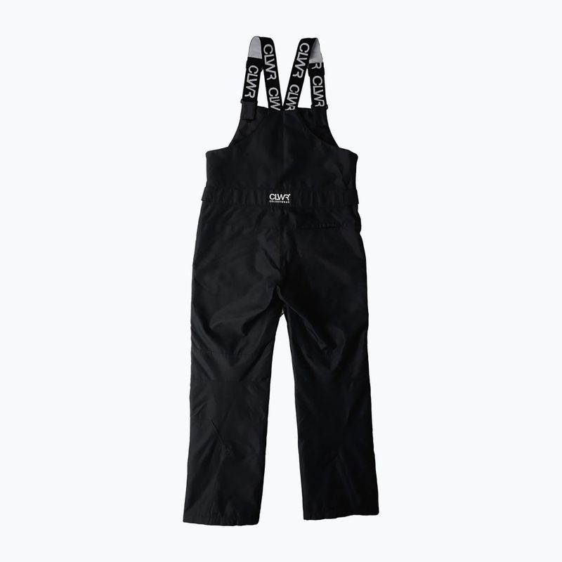 Férfi snowboard nadrág Colourwear Slash Bib black 11