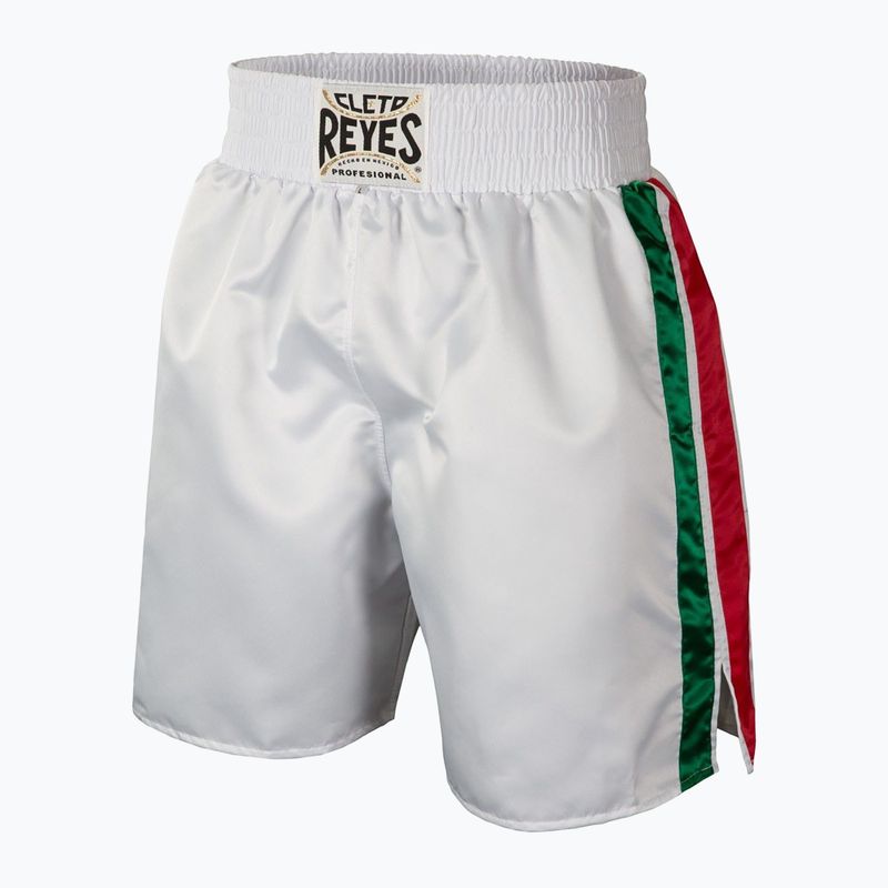 Férfi boxnadrág Cleto Reyes Satin Boxing white/green/red