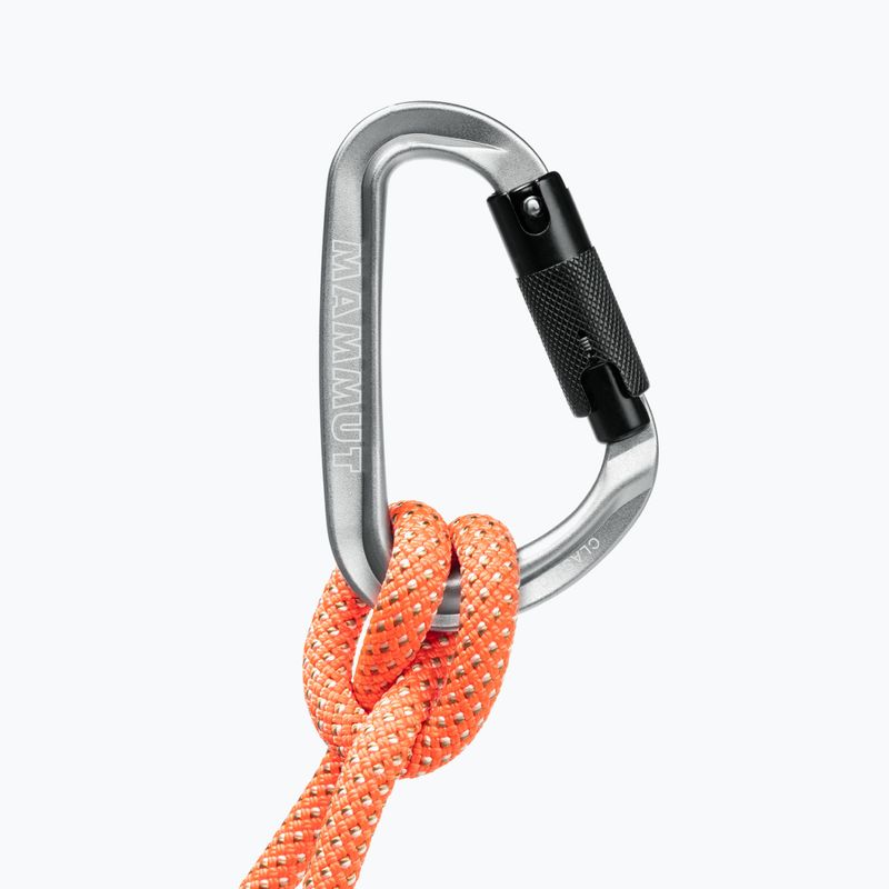 Mászókarabiner Mammut Classic HMS Twistlock Plus light grey 5