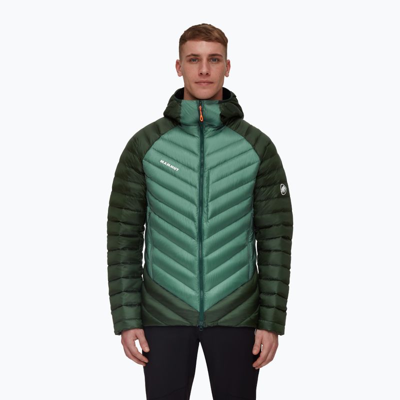Mammut Broad Peak IN férfi pehelypaplan dzseki sötét jade/woods