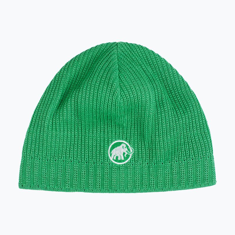 Téli sapka Mammut Sublime pine