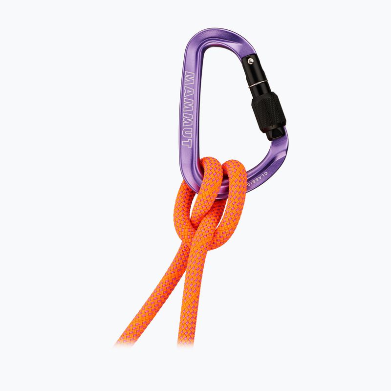 Karabély Mammut Classic HMS Screwgate screw gate/alpine calamint 2
