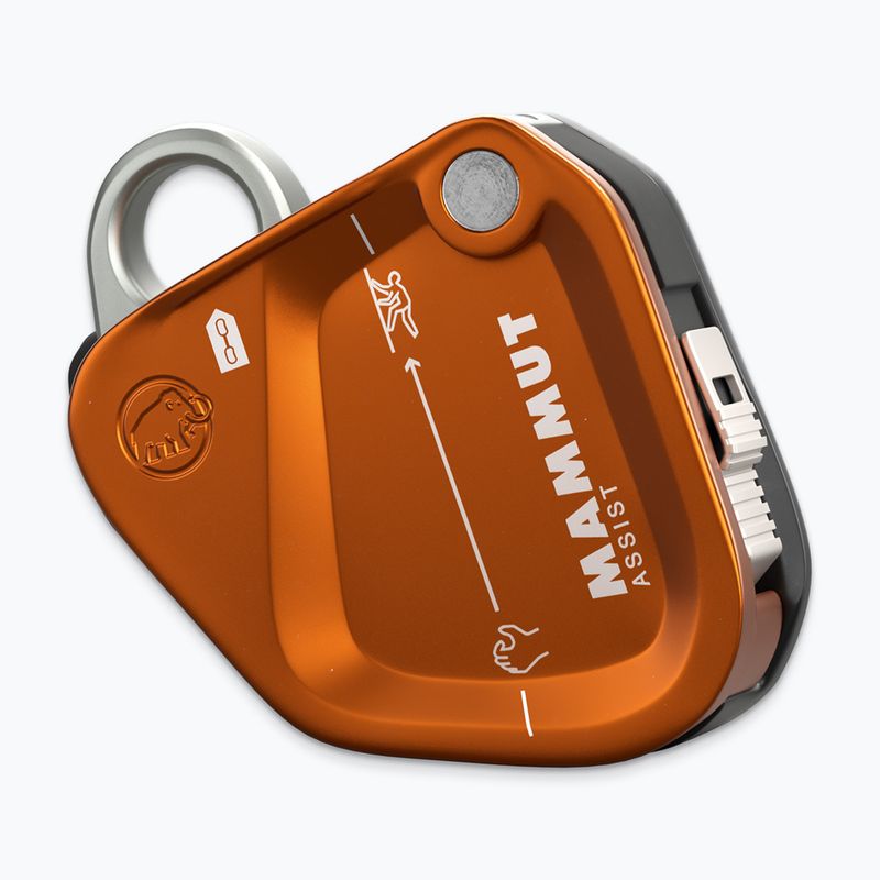 Biztosítóeszköz Mammut Assist Belay Resistor gold 2