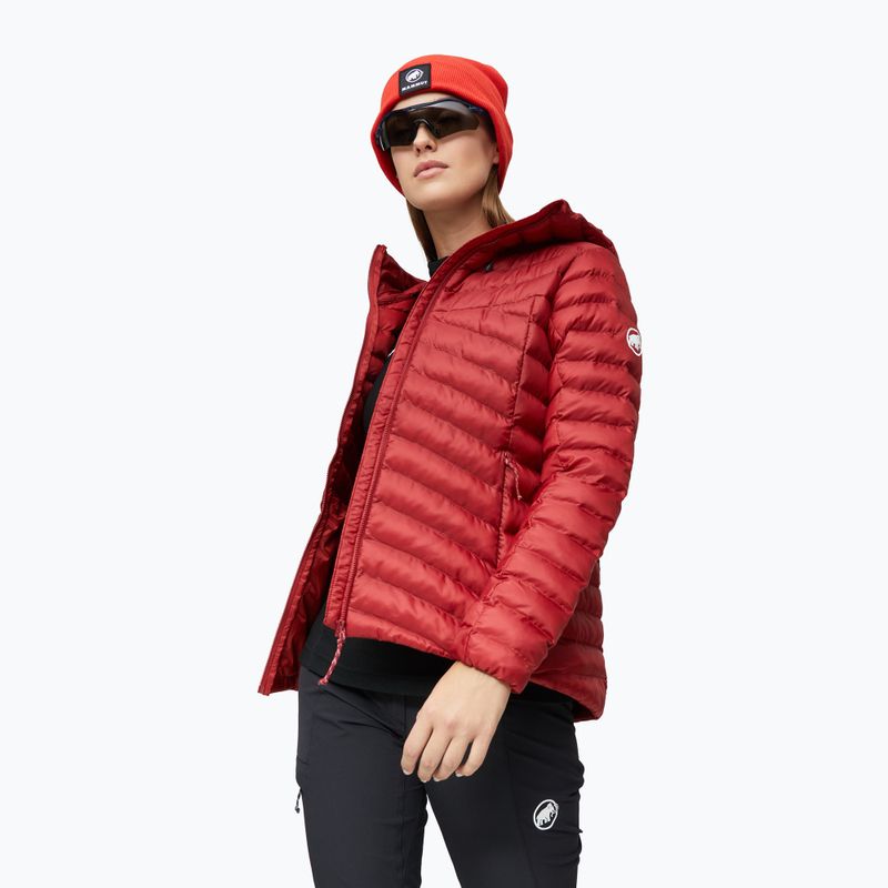 Női bélelt kabát Mammut Albula IN Hooded Jacket Women dark mammut red 5