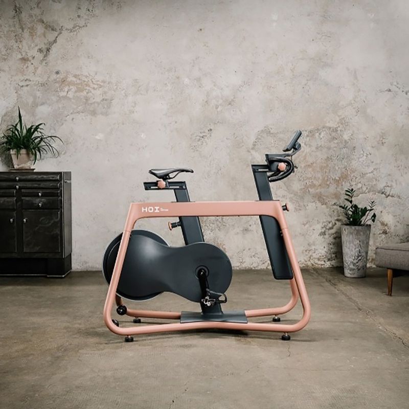 Indoor Cycle KETTLER Hoi Frame terrakotta 4