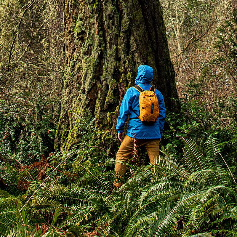 Exped Cloudburst 25 l arany hegymászó hátizsák 7