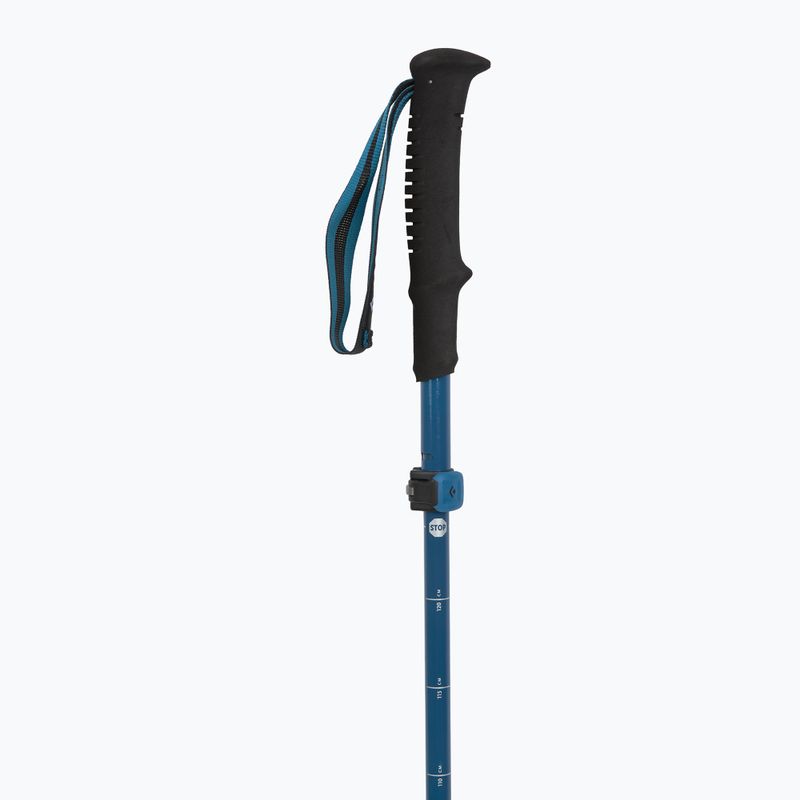 Black Diamond Distance Carbon Flz sivatagi égbolt túrabotok 2